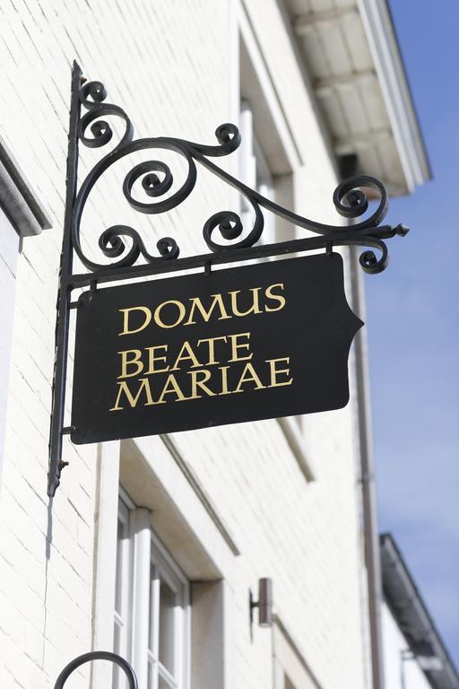 De Gouden Kop 3 Centrum ダンメ エクステリア 写真